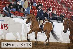 13buck_3718 proof