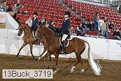 13buck_3719 proof