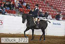 13buck_3722 proof