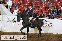 13buck_3723 proof