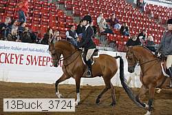 13buck_3724 proof