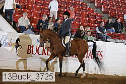 13buck_3725 proof