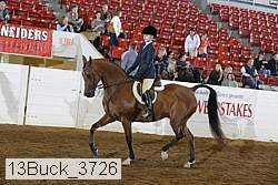 13buck_3726 proof