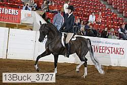 13buck_3727 proof