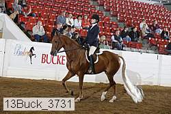 13buck_3731 proof