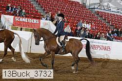 13buck_3732 proof