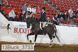 13buck_3733 proof