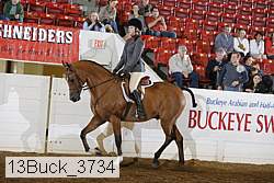 13buck_3734 proof