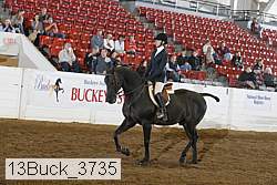 13buck_3735 proof