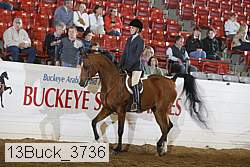 13buck_3736 proof