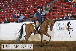 13buck_3737 proof
