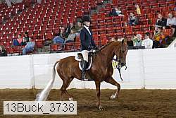 13buck_3738 proof