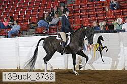 13buck_3739 proof