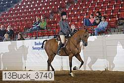 13buck_3740 proof