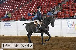13buck_3742 proof