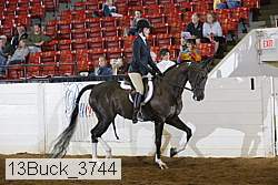 13buck_3744 proof