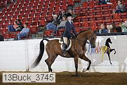 13buck_3745 proof