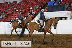 13buck_3746 proof