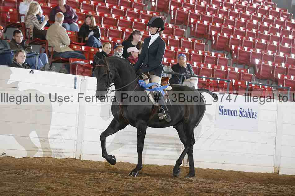 Proof 13buck_3747