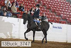 13buck_3747 proof