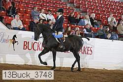 13buck_3748 proof