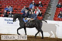 13buck_3749 proof