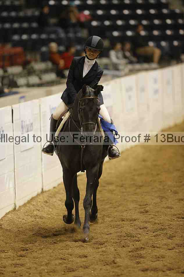 Proof 13buck_3751