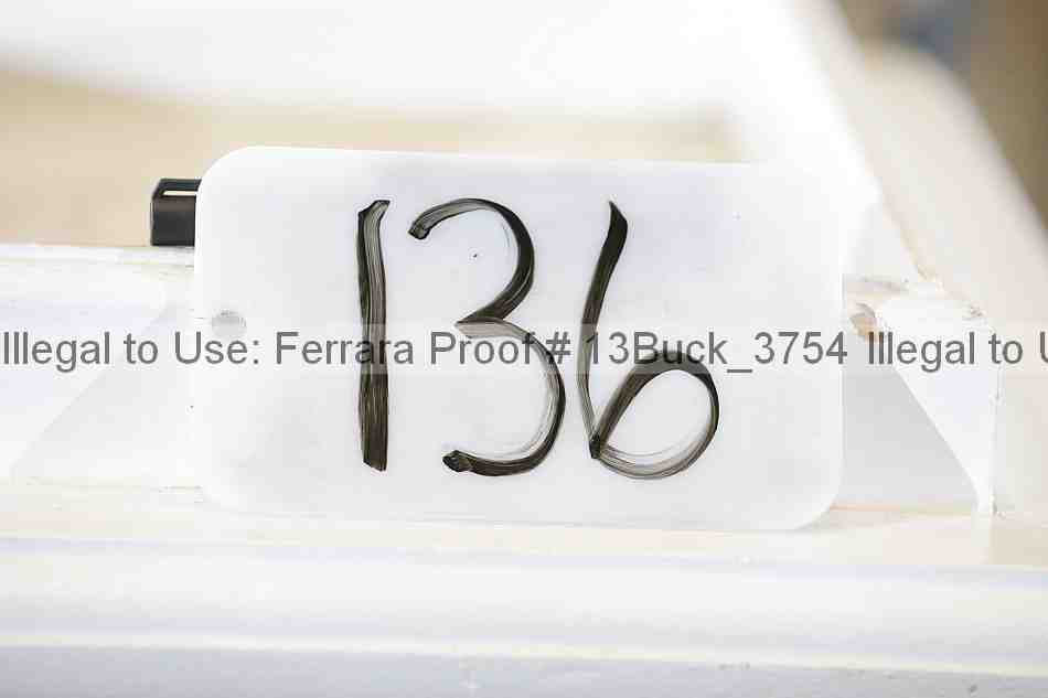 Proof 13buck_3754