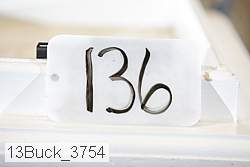 13buck_3754 proof