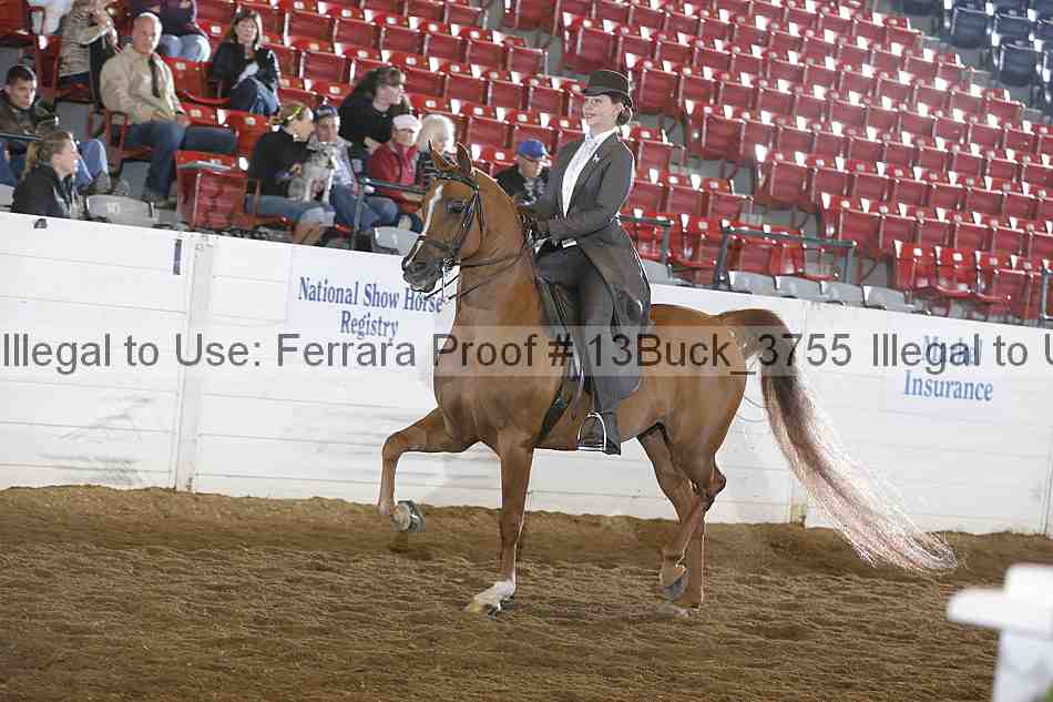 Proof 13buck_3755