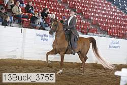 13buck_3755 proof
