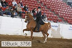 13buck_3756 proof