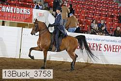 13buck_3758 proof