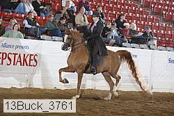 13buck_3761 proof