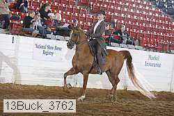 13buck_3762 proof
