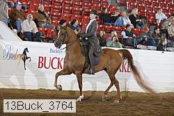 13buck_3764 proof