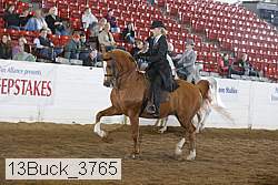 13buck_3765 proof