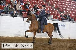 13buck_3766 proof