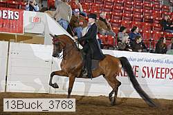 13buck_3768 proof