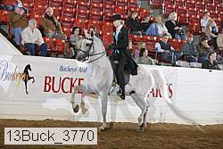 13buck_3770 proof
