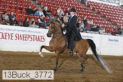 13buck_3772 proof