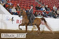 13buck_3773 proof