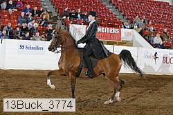 13buck_3774 proof
