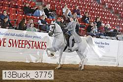 13buck_3775 proof