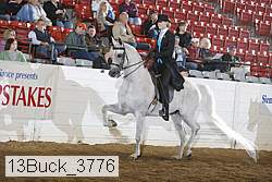 13buck_3776 proof