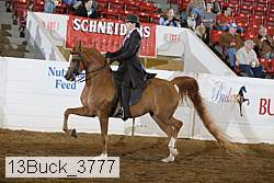 13buck_3777 proof