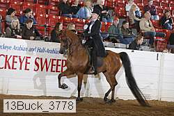 13buck_3778 proof