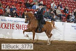 13buck_3779 proof