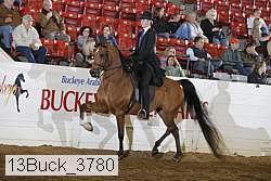 13buck_3780 proof