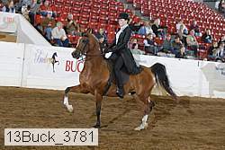 13buck_3781 proof